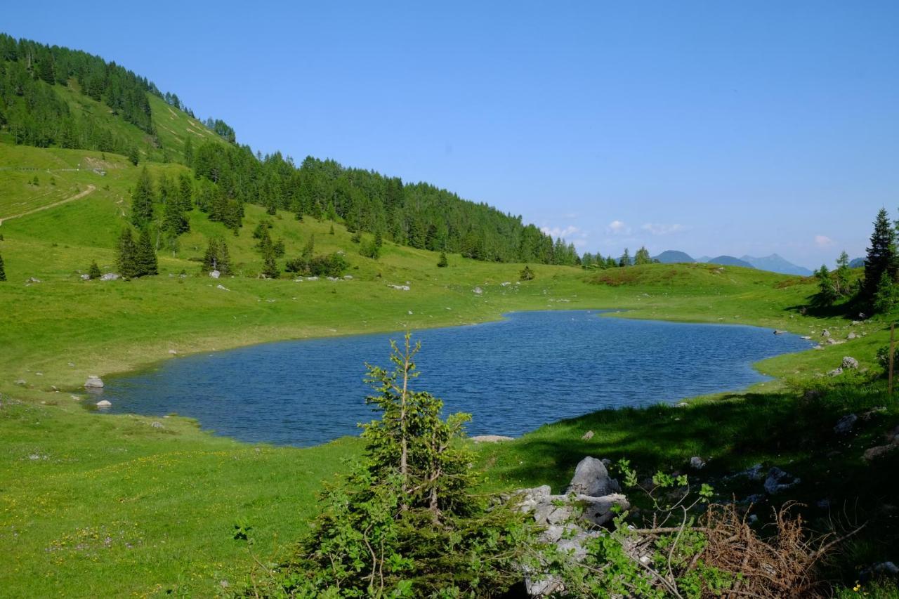 Hotel Casa Della Rosa Dolomites Experience Vigo di Cadore Esterno foto